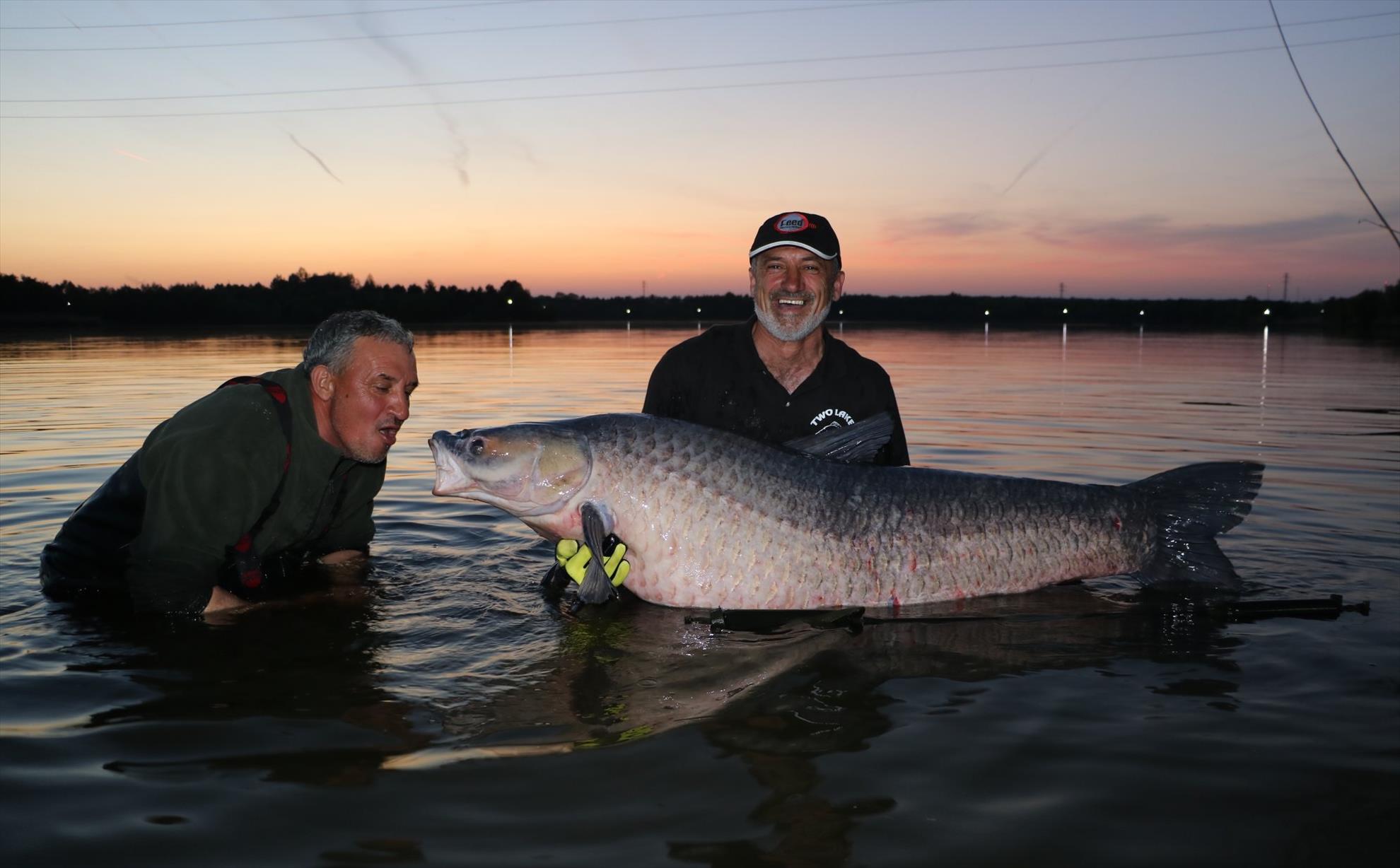 Doi scoicari de dimensiuni impresionante au ajuns la Tancabesti.